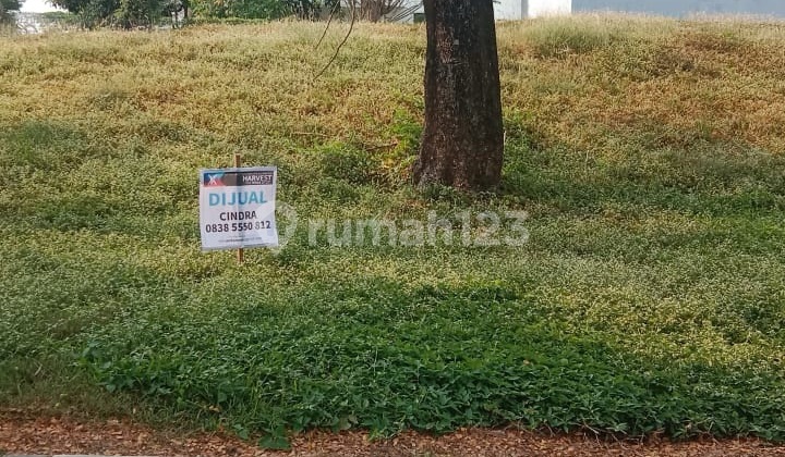 Jual Kavling Citraland Bukit Golf International Nol Jalan Raya Jual Kavling Citraland Bukit Golf International Nol Jalan Raya