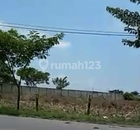 Jual Tanah Zona Industri Di Tuban Kecamatan Widang