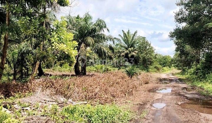 Tanah Dijual di Jalan Danau Ilung Palangka Raya Kalimantan Tengaha 2