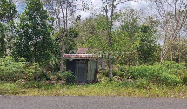 Tanah Dijual Di Jalan Marang Bukit Tunggal Palangka Raya Kalimantan Tengah 1