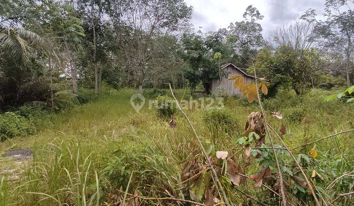 Tanah Dijual di Jalan Mahir Mahar Palangka Raya Kalimantan Tengah 1