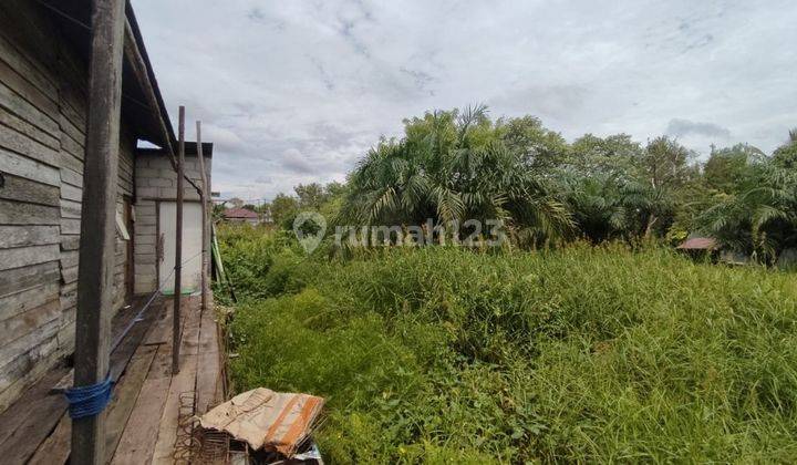 Tanah Dijual Di Jalan Pendohop Langkai Palangka Raya Kalimantan Tengah 1