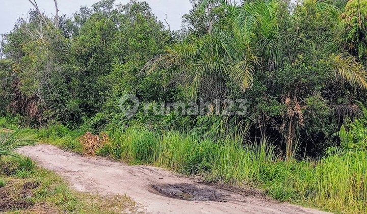 Tanah Dijual Di Jalan G. Obos Palangka Raya Kalimantan Tengah 1