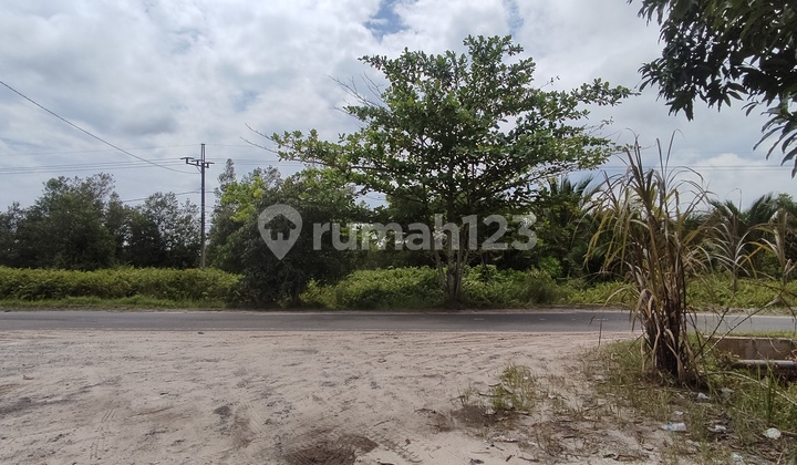 Tanah Dijual Di Jalan Mahir Mahar Sabaru Palangka Raya Kalimantan Tengah 1