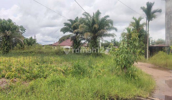 Tanah Dijual Di Jalan G Obos 16 Palangka Raya Kalimantan Tengah 2