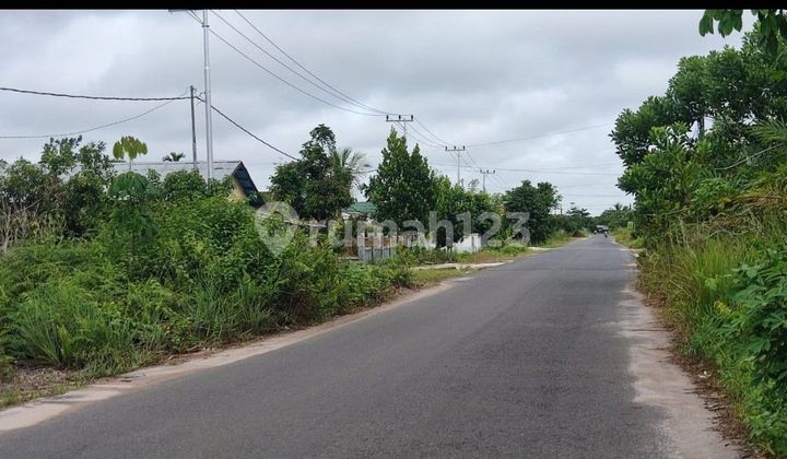 foto lainnya tanah dijual di jalan lewu