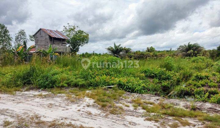 Tanah Dijual Jalan Mahir Mahar Simpang G.obos Palangka Raya 1