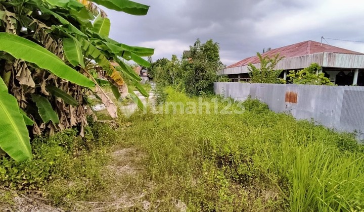 Tanah Dijual Di Jalan Bukit Raya Palangka Raya Kalimantan Tengah 1