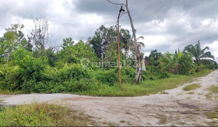 Tanah Dijual Di Jalan Tampung Penyang Palangka Raya 1