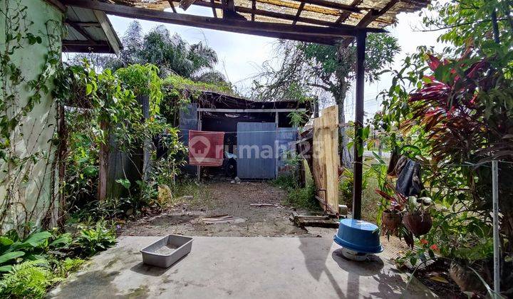 Tanah Dijual Di Jalan Christopel Mihing Palangka Raya 2