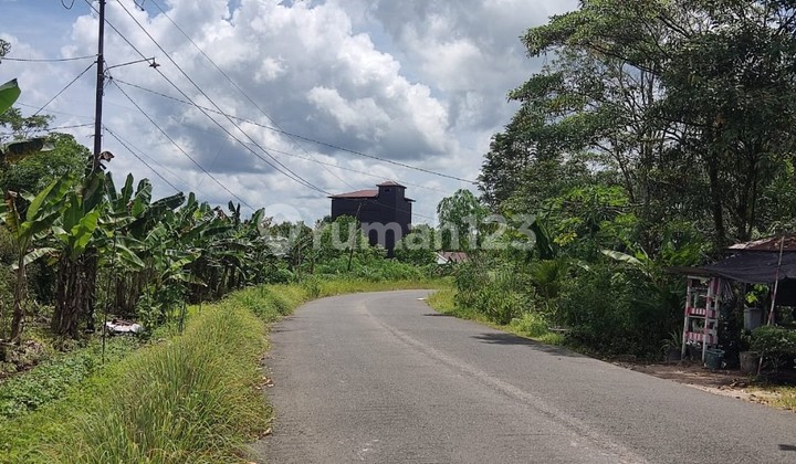 Tanah Dijual Di Jalan Marang Bukit Tunggal Palangka Raya Kalimantan Tengah 2