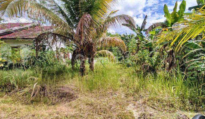 Tanah Dijual Di Jalan Danau Ilung Tjilik Riwut Palangka Raya Kalimantan Tengah 2