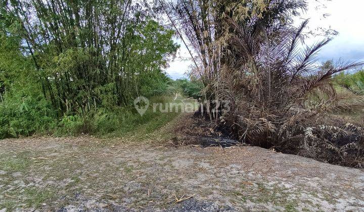 Tanah Dijual di Jalan tjilik Riwut Kalimantan Tengah 1