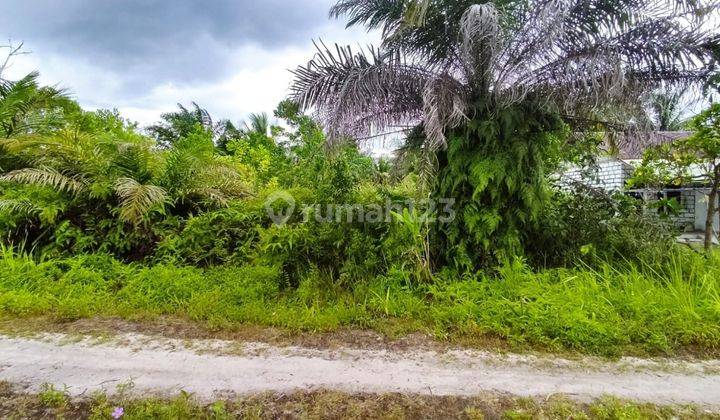 Tanah Dijual Di Jalan Tampung Penyang Palangka Raya 2