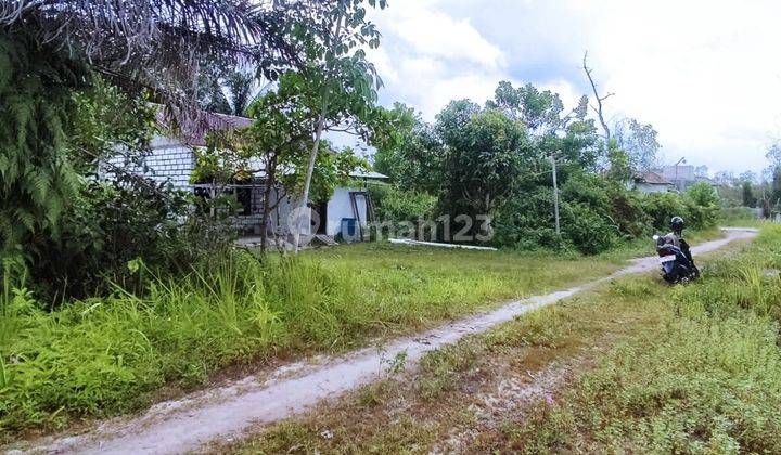 Tanah Dijual Di Jalan Tampung Penyang Palangka Raya 2