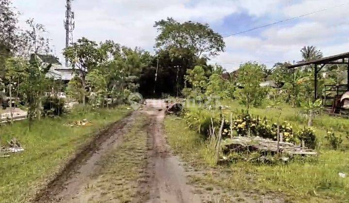 Tanah Dijual Di Jalan Raden Saleh Palangka Raya Kalimantan Tengah 1