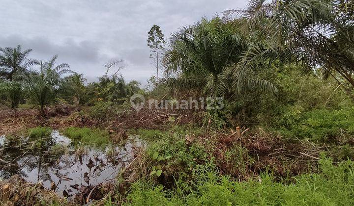 Tanah Dijual Jalan Simpei Keruhei Palangka Raya Kalimantan Tengah 1