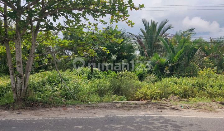 Tanah Dijual Di Jalan Mahir Mahar Sabaru Palangka Raya Kalimantan Tengah 2