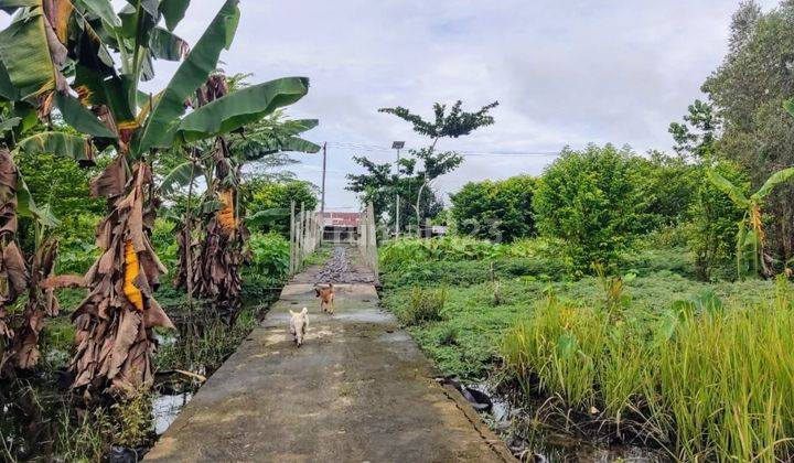 Tanah Dijual di Jalan Lintas Mahir Mahar Palangka Raya Kalimantan Tengah 1