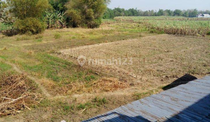 Dijual Cepat dan Murah Gudang di Mojokerto Jawa Timur 4