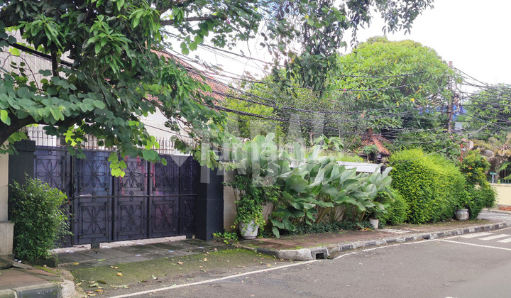 Rumah Dengan Paviliun, Luas, Prime Area Menteng, Jakarta Pusat