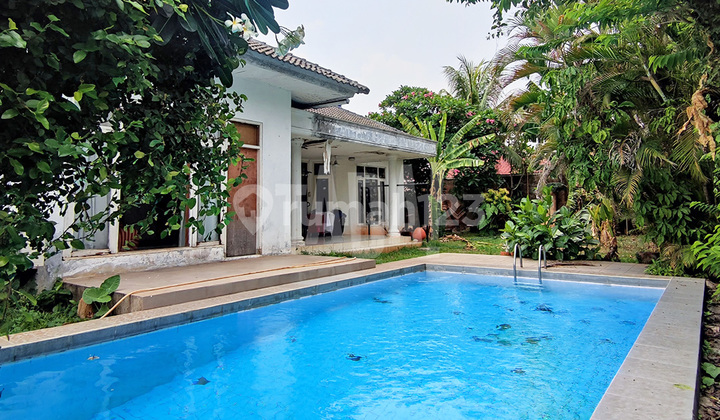 Rumah Luas, Ada Pool, Lokasi Strategis di Kemang, Jakarta Selatan Rumah Luas, Ada Pool, Lokasi Strategis di Kemang, Jakarta Selatan