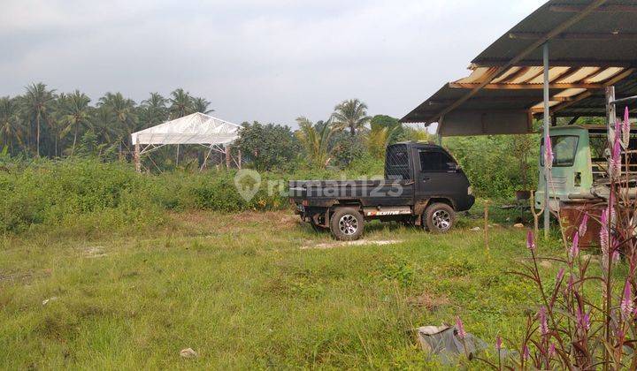 Lahan Oke Jalan Utama Pejamben Carita Cocok Untuk Usaha 5