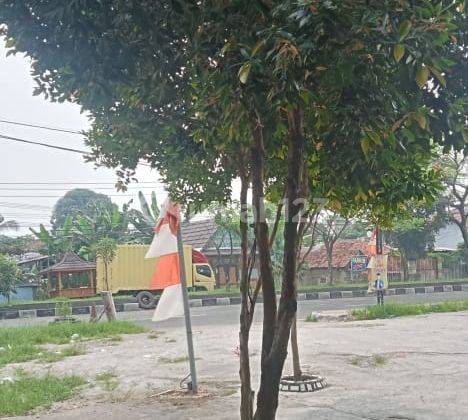 Tanah Strategis Jalan Raya Serang Pandeglang 2