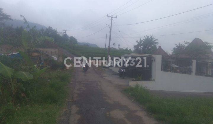 Tanah Mandalawangi Pandeglang Dikelilingi Gunung 2