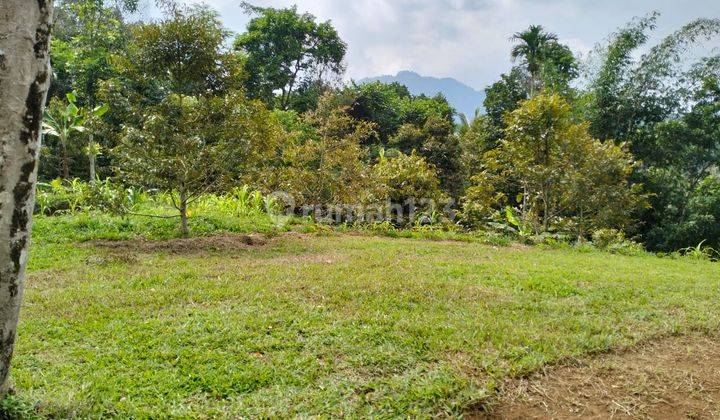 Tanah Kebon Bervariasi Buah Mandalawangi 2