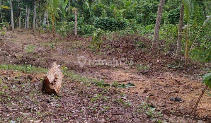 Tanah Cinangka Sindanglaya Harga Miring Nego 2