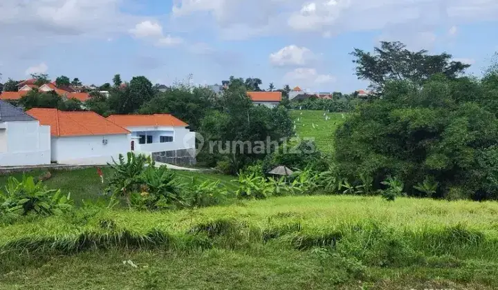 Dijual Tanah Bagus Pantai Pererenan 1