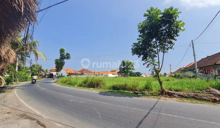 For Rent Strategic Land In Batu Bolong Canggu 2