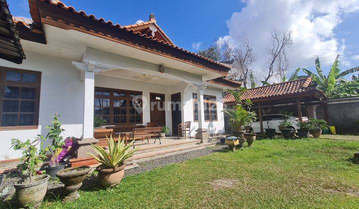 Dijual Rumah Bagus area Muding Kerobokan 2