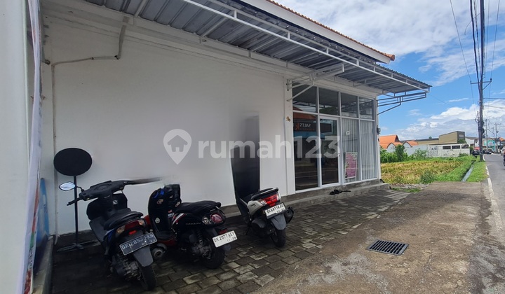 For Rent: Nice Shop House Area Sempol Pererenan