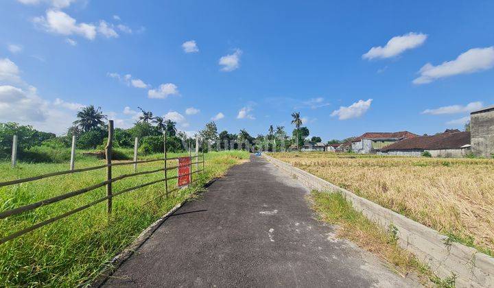 Good plot of land for sale in Kedungu Tabanan area 2