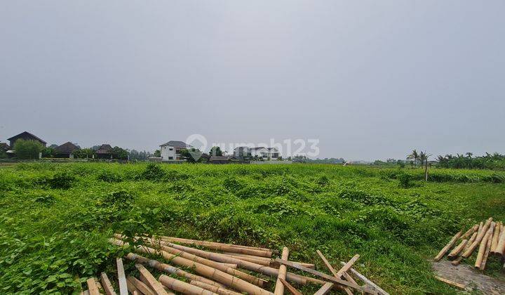 Long Lease Land Close To Kedungu Beach With Ricefield View. 2