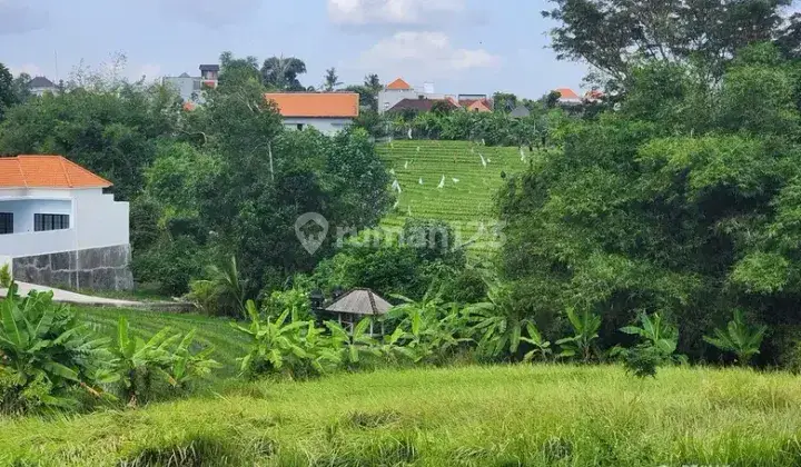 Dijual Tanah Bagus Pantai Pererenan 2