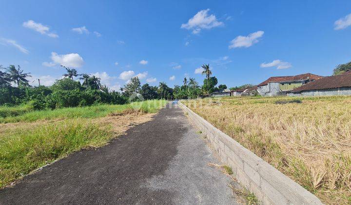 Good plot of land for sale in Kedungu Tabanan area 2