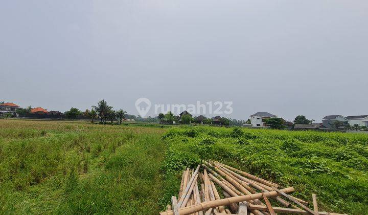 Long Lease Land Close To Kedungu Beach With Ricefield View. 1