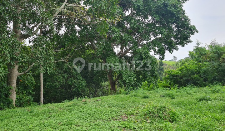 Dijual Tanah Bagus dekat Pantai Nyayi  Munggu 