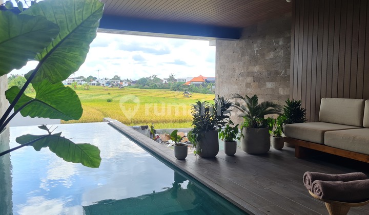 Brand New Modern Design Villa dengan View sawah di Canggu