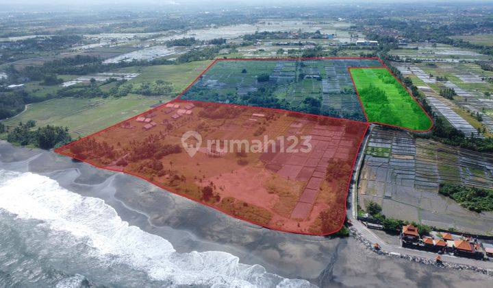 Dijual Tanah Jalan Kaki Ke Pantai Belong Kedungu  1