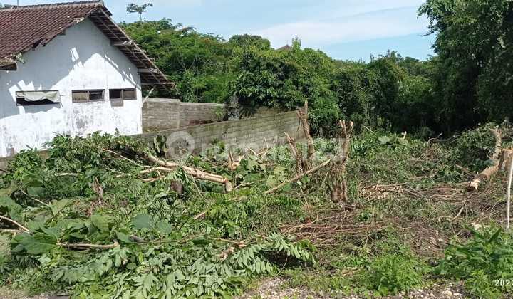 Dijual Tanah Bagus area Ungasan