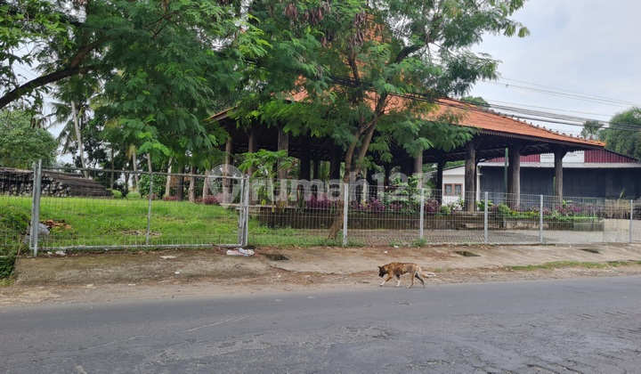 Dijual Tanah Bagus Jalan Utama  area Munggu 