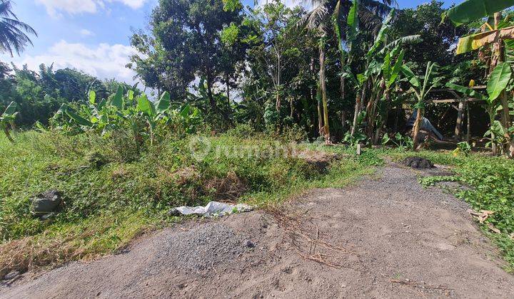 Good plot of land for sale in Kedungu Tabanan area 1