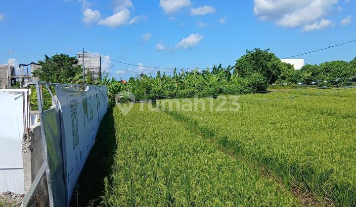 About Strategic Land Lease in Padonan - Near Canggu & Berawa About Strategic Land Lease in Padonan - Near Canggu & Berawa