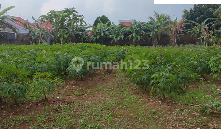 Dijual Tanah di Tembalang Semarang 1