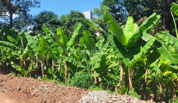 Tanah di sekaran 2000 m2 dekat UNNES  cocok untuk kos dan hunian 1