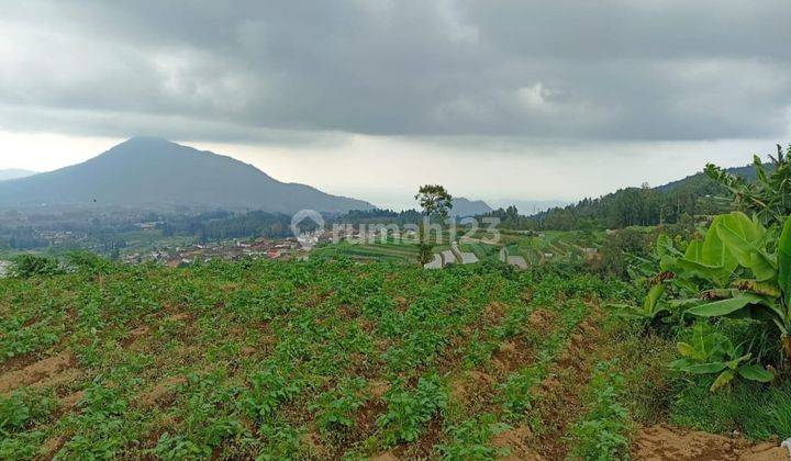 Tanah di Jogonayan, Ngablak, Magelang SHM 491 m² View Gunung Jalan Lebar 1